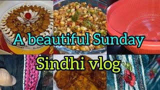 A beautiful Sunday /my daily routine  🪴🪣/sindhi vlog 