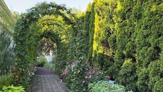 Garden Design Ideas for Narrow Walkways, Skinny Side Yards, & Small Spaces / Local Garden Tour