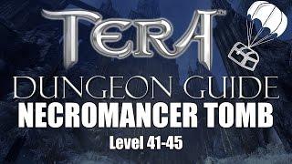 Tera Dungeon Guide - Necromancer Tomb