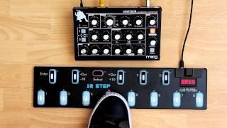 12 Step | Moog Based Sounds on a C Scale with 1, 4, 5 Chord Change