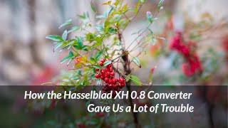 How the Hasselblad XH 0 8 Converter Gave Us a Lot of Trouble