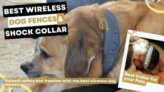 5 Best Wireless Dog Fence 2023 - Waterproof and Rechargeable