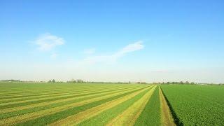 2016 Benschoter Hay and Straw Harvest