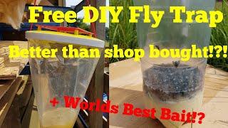 Making the best DIY fly trap, with the ultimate fly bait
