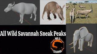 All Wild Savannah Sneak Peaks