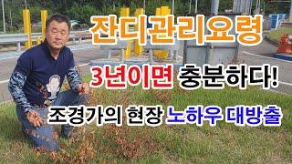 #잔디 #산소 #묘소 #잔디관리 #핵심 #노하우 전격 공유 합니다  #조경과구들장 #귀농귀촌 #귀농 #귀촌 #전원주택