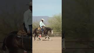 Ride with finesse and confidence. Join us and master the craft today!  #Reiningmasterclass