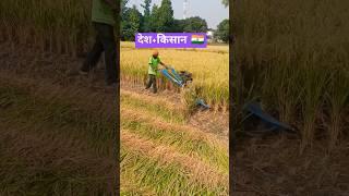 Desh ki shan hai Kisan#farmer #farming #live #food #foodie #like #share #vlog #reels #shorts #new