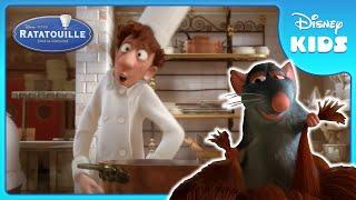 Remy and Alfredo Team Up ‍ | Ratatouille | Disney Kids