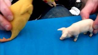 Sand filled rubber chicken vs. Plastic resin pig (Pink Panther remix)