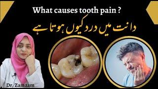 Dant main dard kyun hota hai | What causes tooth pain ?