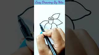 Daffodil Flower Drawing..