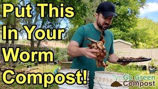 My Vermicompost Worms Love This Food! | More Worms = More Compost