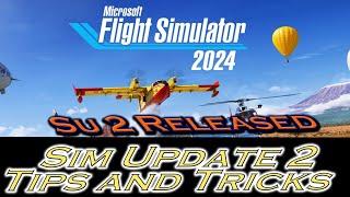 Microsoft Flight Simulator 2024 Sim Update 2 Problems and Tips and Tricks