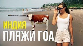 Индия, ПЛЯЖИ ГОА - ВСЯ ПРАВДА, Что тут ТВОРИТСЯ? УЖАС и КРАСОТА, Арамболь