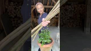 Fabriquez votre propre support pour plantes à moindre coût