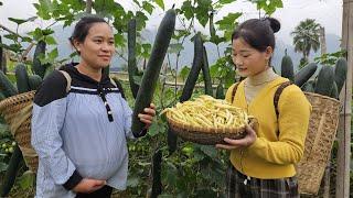 Maya & I Went To The Baby Check-Up - Harvested The Squash Garden Goes to market sell