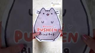 Kawaii Pusheen Blind Bag #asmr #paperdiy #blindbag #diy