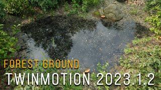 Twinmotion 2023.1 Preview 2 Photorealistic Forest Ground Tutorial