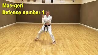 SKIF Jiyu-ippon kumite: mae-geri 1-4