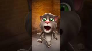 Untitled video