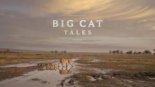 Big Cat Tales: Season 1 Trailer