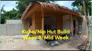 Kubo/Nipa Hut Build: Week 5, Mid-Week Update