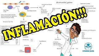 Fisiopatología de la INFLAMACIÓN | Generalidades