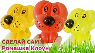 СОБАЧКА ИЗ ШАРИКА как сделать Balloon Animal Dog TUTORIAL uno perrito con globos