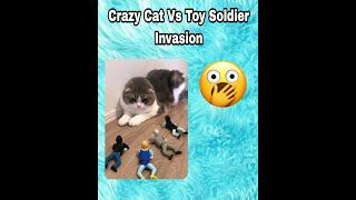 Crazy Cat Vs Toy Soldiers Invasion: Hilarious Feline Battle for Survival