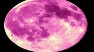 Beck - Pink Moon