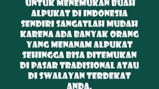 Manfaat buah alpukat untuk diet