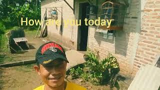 sawah samping rumah - vlog #ahmad@81