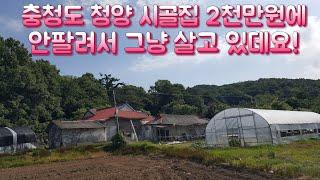 충청도 청양 시골집 2천만원에도 안팔려서 그냥 살고 있데요! 재미있는 동영상 옛날집 오지마을 부동산 여행 한옥 골동품 귀농 귀촌