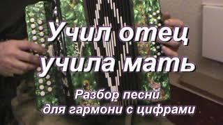 Учил отец, учила мать ( гармонь )