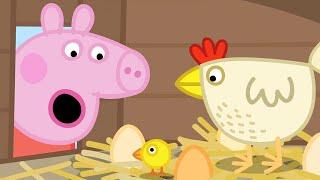 Peppa Pig Anneanne Domuz TavuklarOnline komik çizgi filmler DerlemeÇocuklar için Çizgi Filmler