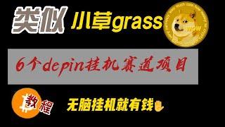 类似小草grass挂机depin赛道项目合集，6个必挂项目保姆级0撸教程，无脑挂机就有空投