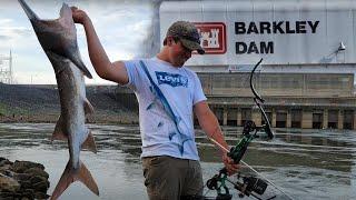 bowfishing the Barkley dam in Kentucky