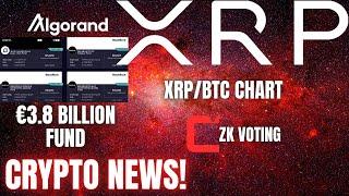 Ripple XRP Algorand €3.8BCSPR ZK Voting  BTC Price Chart ️ CRYPTO NEWS