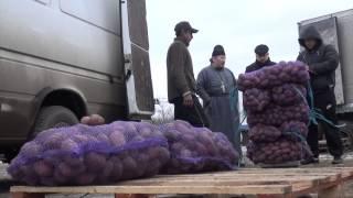 Фонд "Гуманитарный мир" помогает жителям Луганской области.