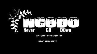 Lamton - NGODO ft Sintex x DTabz (official Lyrics video)