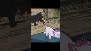 котенок - леди