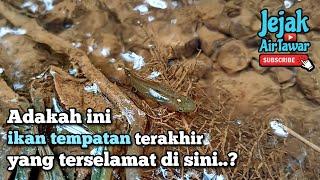 Misi menjejaki ikan tempatan di sebuah bukit,tapi sayangnya..