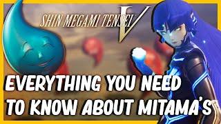 Complete Mitama Guide For Shin Megami Tensei V (Weaknesses, Drops, How To find them & More)