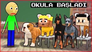 KEDİ ÇETESİ VE KÖPEK ÇETESİ OKULA BAŞLADI!  - Minecraft