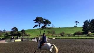 Storme Waitemata Show Jumping 90cm 2017