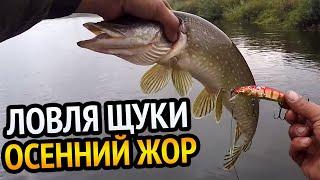 ЛОВЛЯ ЩУКИ В ОКТЯБРЕ! 110 Vision OneTen щуке не позубам. Осенний жор.Твичинг на реке.