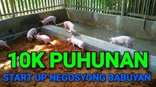 10K  PUHUNAN SA NEGOSYONG BABOYAN