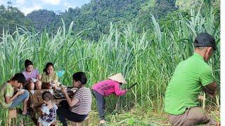 Cooking jelly for neighbor children - the simple life of a disabled father and his single daughter