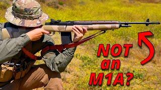 M1A / M14 - Before You Buy